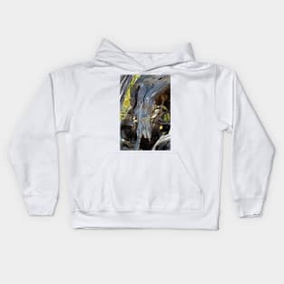 Swan Face In Driftwood Kids Hoodie